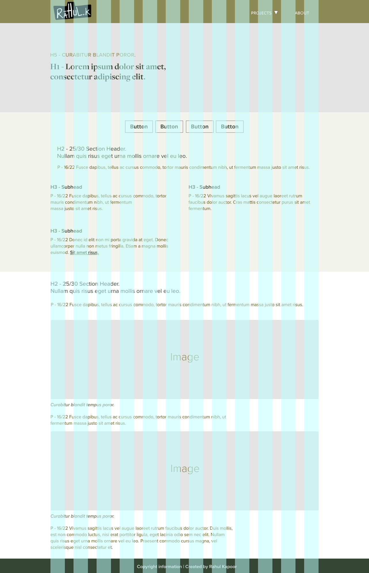 Web version of the research area pattern showing publications and posters