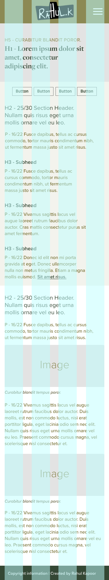 Web version of the research area pattern showing publications and posters