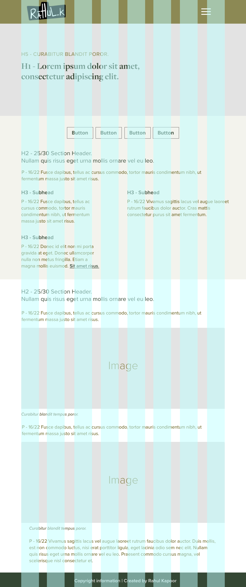 Web version of the research area pattern showing publications and posters